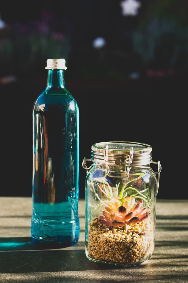 terrarium-made-from-bottle